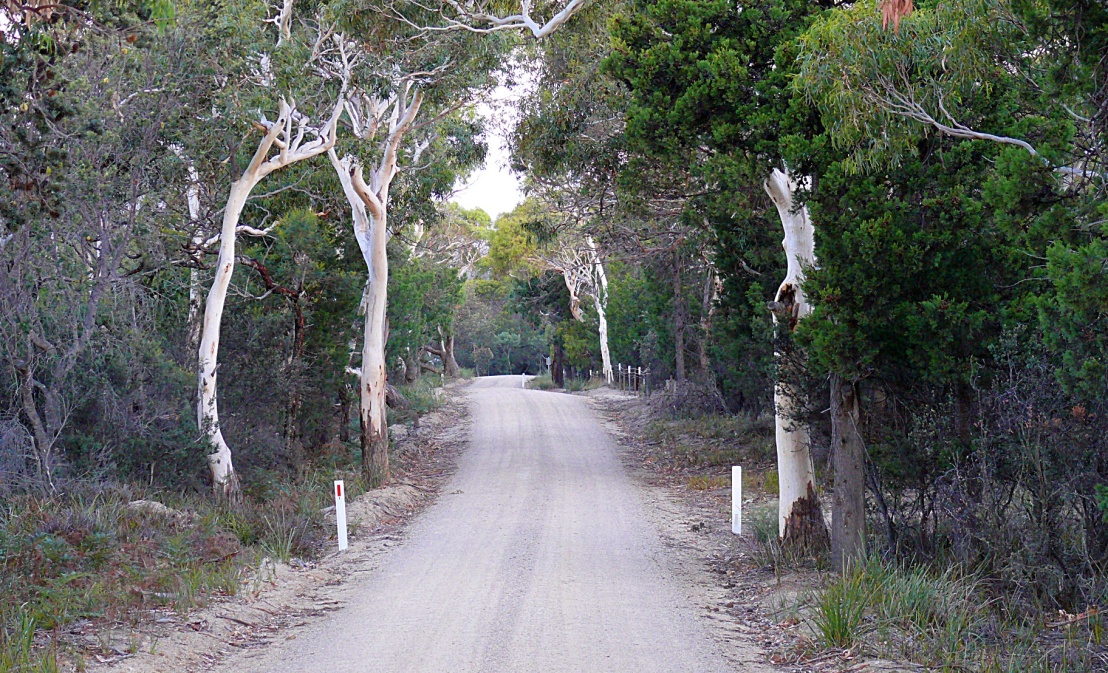 road to moulting lagoon